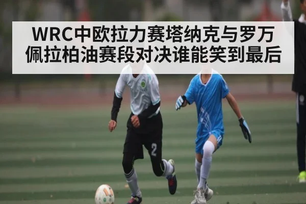 WRC中欧拉力赛塔纳克与罗万佩拉柏油赛段对决谁能笑到最后 - NG28