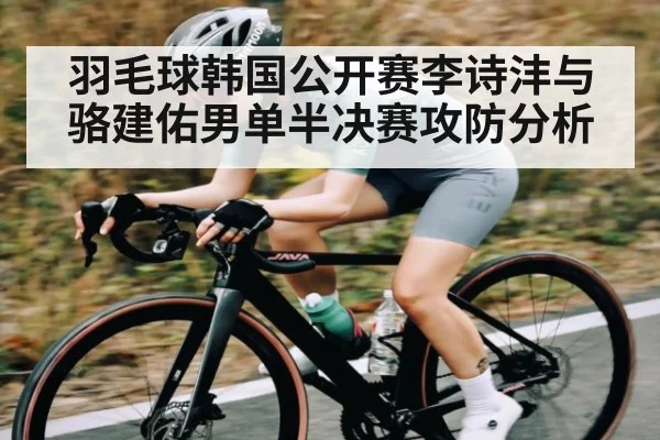 羽毛球韩国公开赛李诗沣与骆建佑男单半决赛攻防分析 - NG28